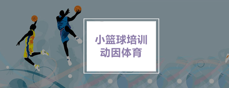 幼儿篮球训练场景