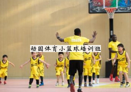 无锡动因体育小篮球培训班