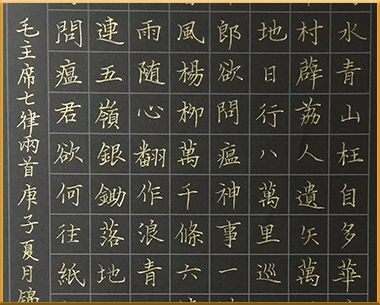智慧教育新选择深度解析