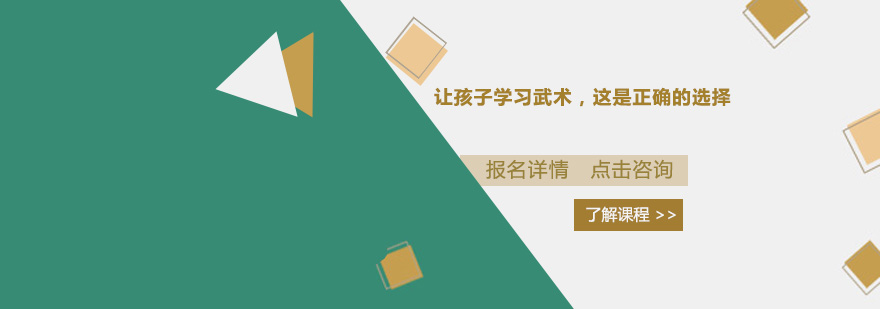 少儿武术训练实景