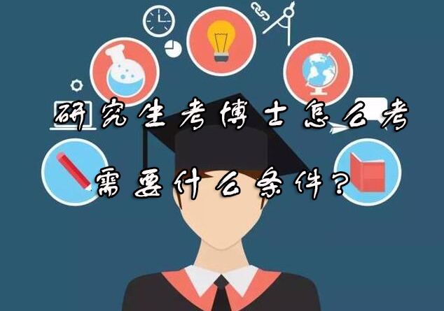 博士报考全解析：全日制与在职博士双路径指南