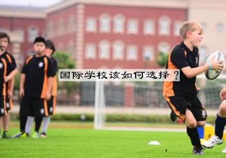 国际教育择校全攻略