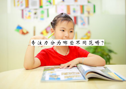 专注力训练课程体系全解析