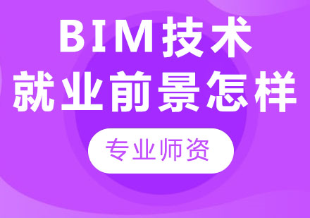 BIM技术的*前景怎么样