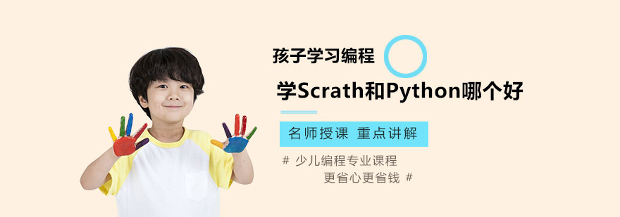 编程学习路径对比