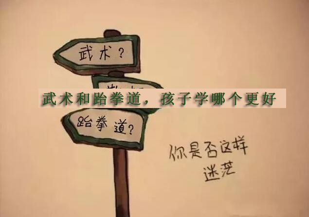 传统武术与现代跆拳道的训练差异解析