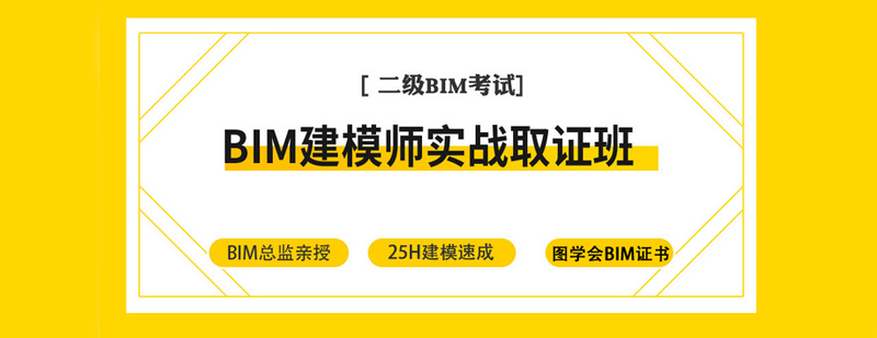 BIM建模师实战*班