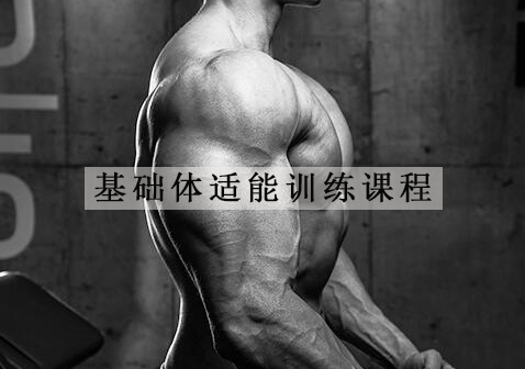 杭州基础体适能训练课程