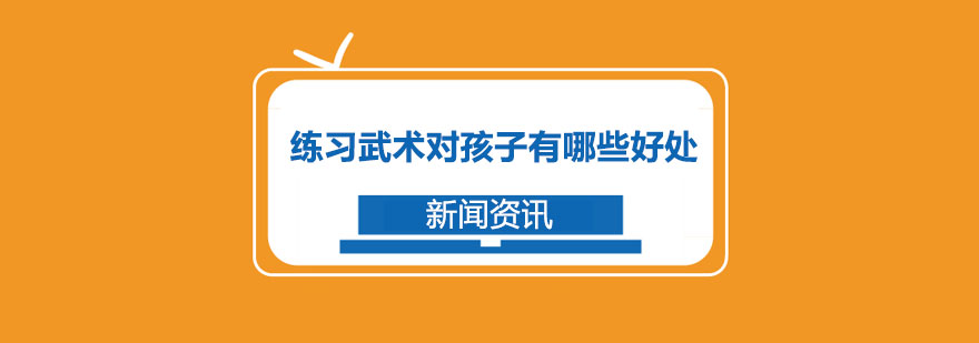 少儿武术训练场景