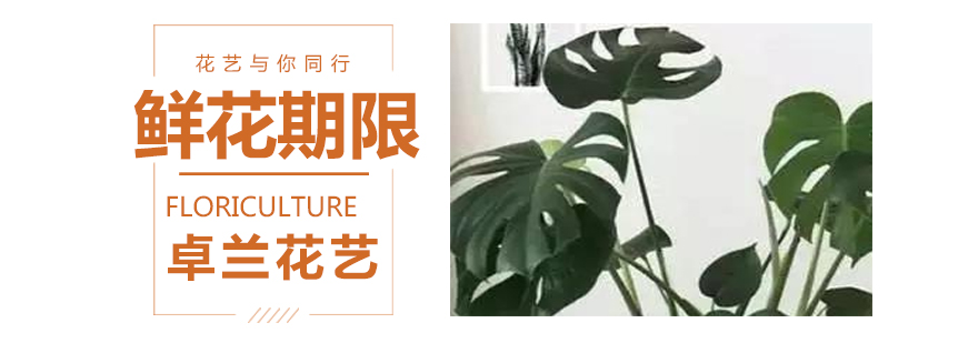 热力处理示意图