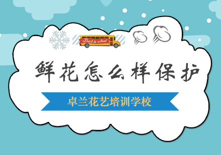 鲜花保鲜全攻略：7种科学方法延长观赏期