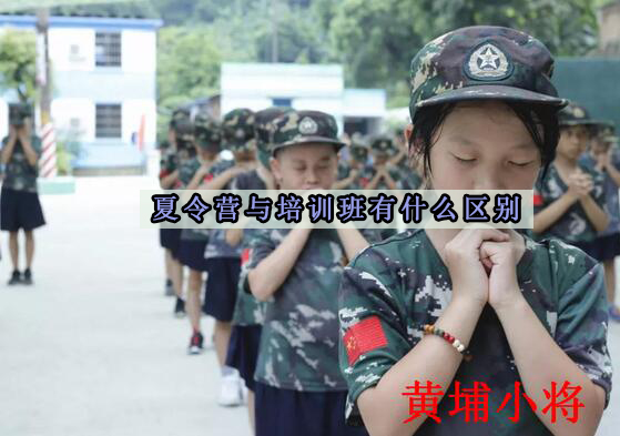 暑期教育选择指南：夏令营与培训班深度对比
