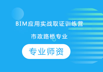 BIM应用实战训练营市政路桥专业
