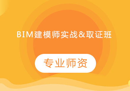 BIM建模师实战&班