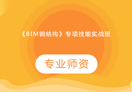 《BIM钢结构》专项技能实战班