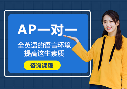 北京AP一对一课程培训