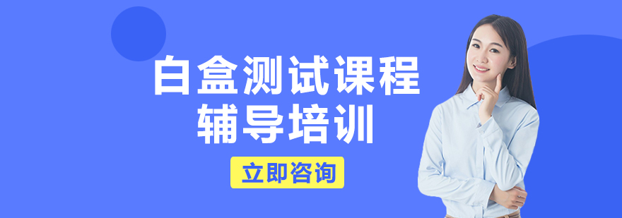 白盒测试课程辅导培训