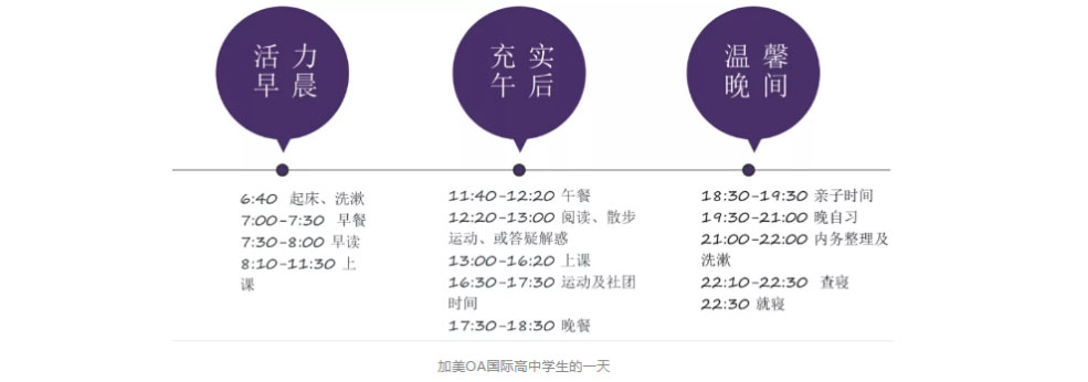 项目制学习实践