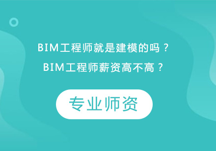 BIM工程师职业解析与薪资前景深度剖析