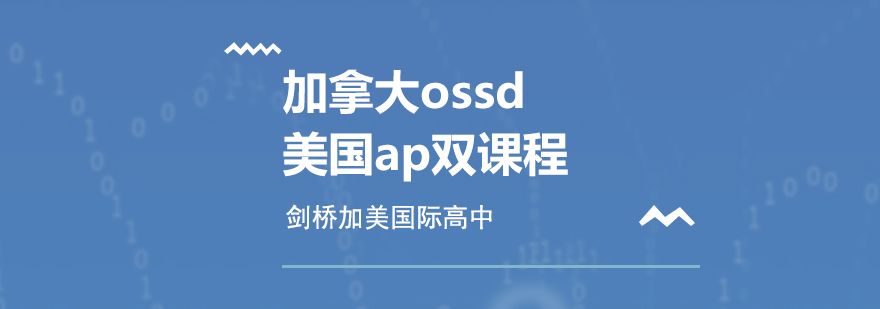 上海国际课程双体系