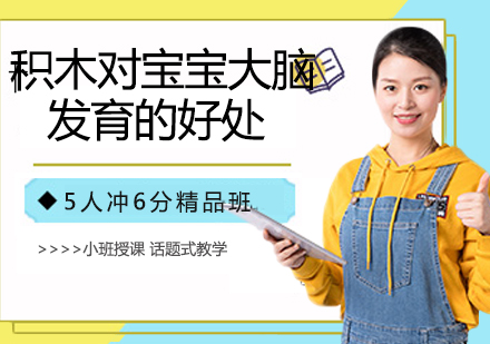 积木早教五大核心优势解析