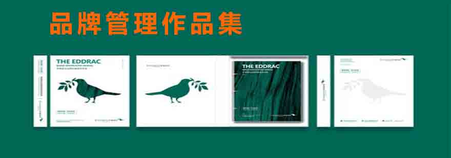 品牌管理课程体系