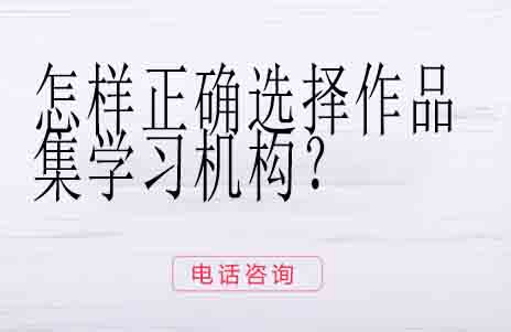作品集机构选择全维度指南