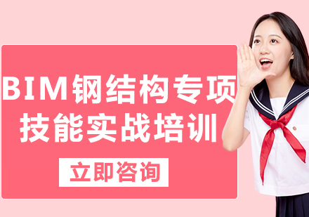 上海BIM鋼結構專項技能實戰(zhàn)培訓
