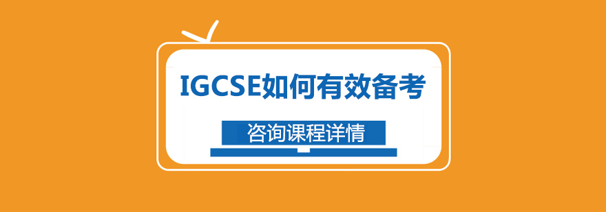IGCSE备考资料示意图