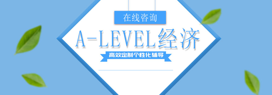 ALEVEL经济