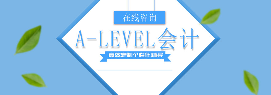 ALEVEL会计课程展示