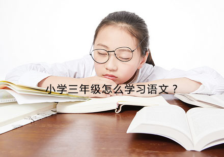 小学三年级怎么学习语文？