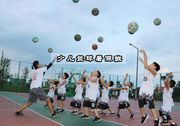 杭州少儿篮球暑假班
