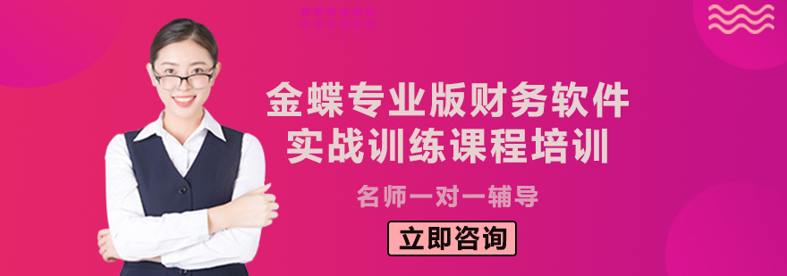 金蝶專業(yè)版操作界面演示