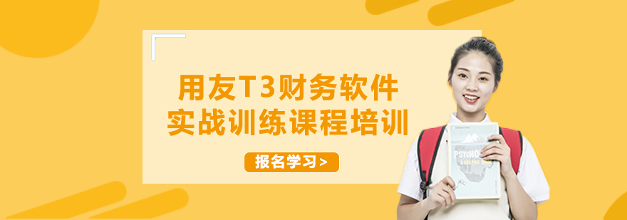 財(cái)務(wù)軟件操作界面演示