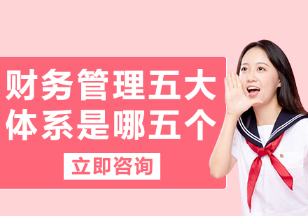 企業(yè)財(cái)務(wù)管理體系深度解析與優(yōu)化指南