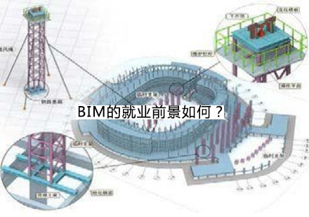 BIM技术职业发展深度解析