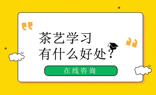 探索茶艺课程的深层价值与个人成长