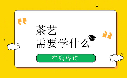 茶艺需要学什么