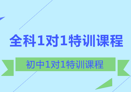 初中全科1对1特训课程