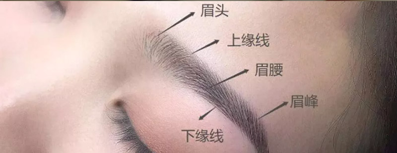 自然纹绣色彩对比