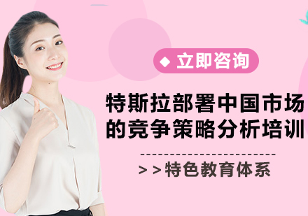 上海特斯拉部署中國市場的競爭策略分析培訓