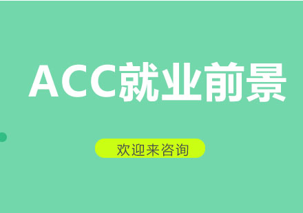 ACCA职业发展解析：八大高薪方向与前景展望