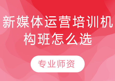新媒体培训模式深度解析与选择指南