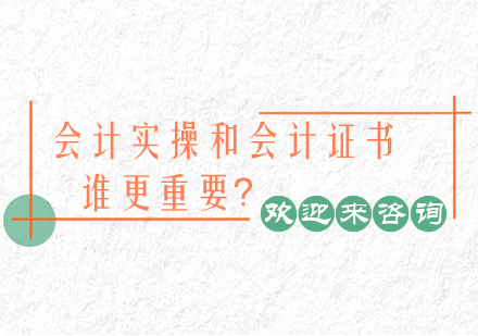 会计从业必修课：技能与双重修炼指南