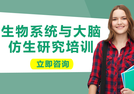 上海生物系統(tǒng)與大腦仿生研究培訓(xùn)