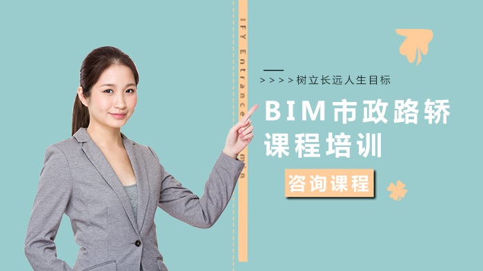 BIM市政路轿课程