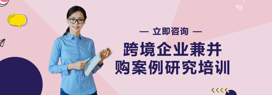跨境并购案例教学