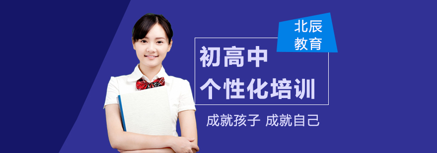 北辰教育服务体系图解