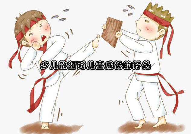 少儿散打训练对青少年发展的多维价值